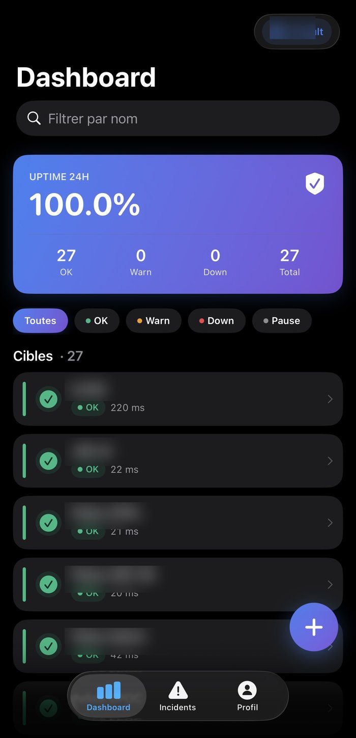 Capture d'écran de l'app ILYGO Monitoring iOS : tableau de bord avec uptime 24h à 100 %, 27 cibles surveillées toutes au vert.